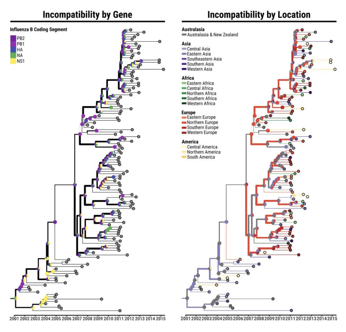 Pathogen genomics